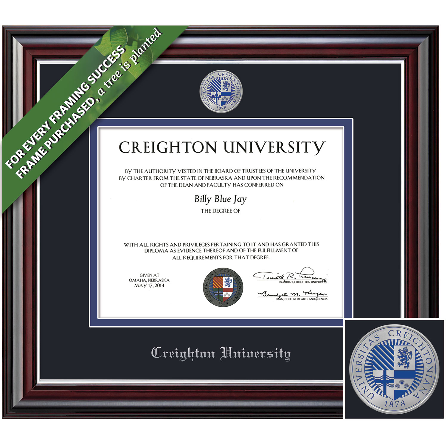 Framing Success 9 x 12 Jefferson Coronado Color Enamel Custom Minted Medallion Law, MD, Doctorate Diploma Frame