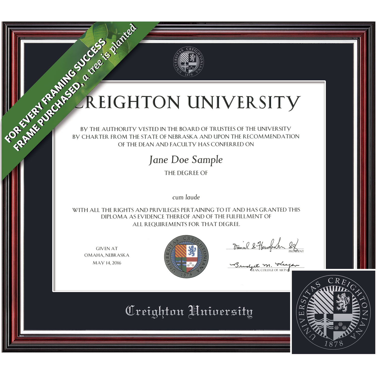 Framing Success 9 x 12 Scholastic Silver Embossed School Seal Law, MD, Doctorate Diploma Frame