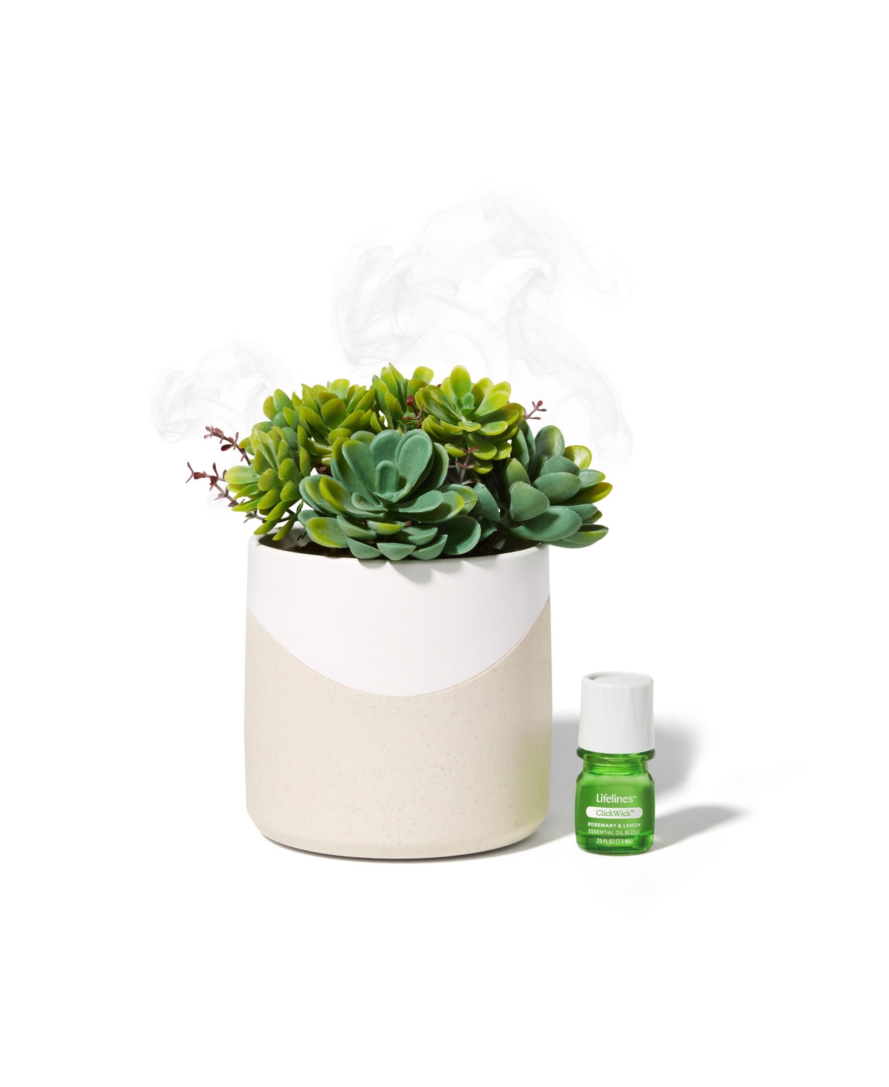 Lifelines Planter Diffuser  -  Succulent - Two Toned