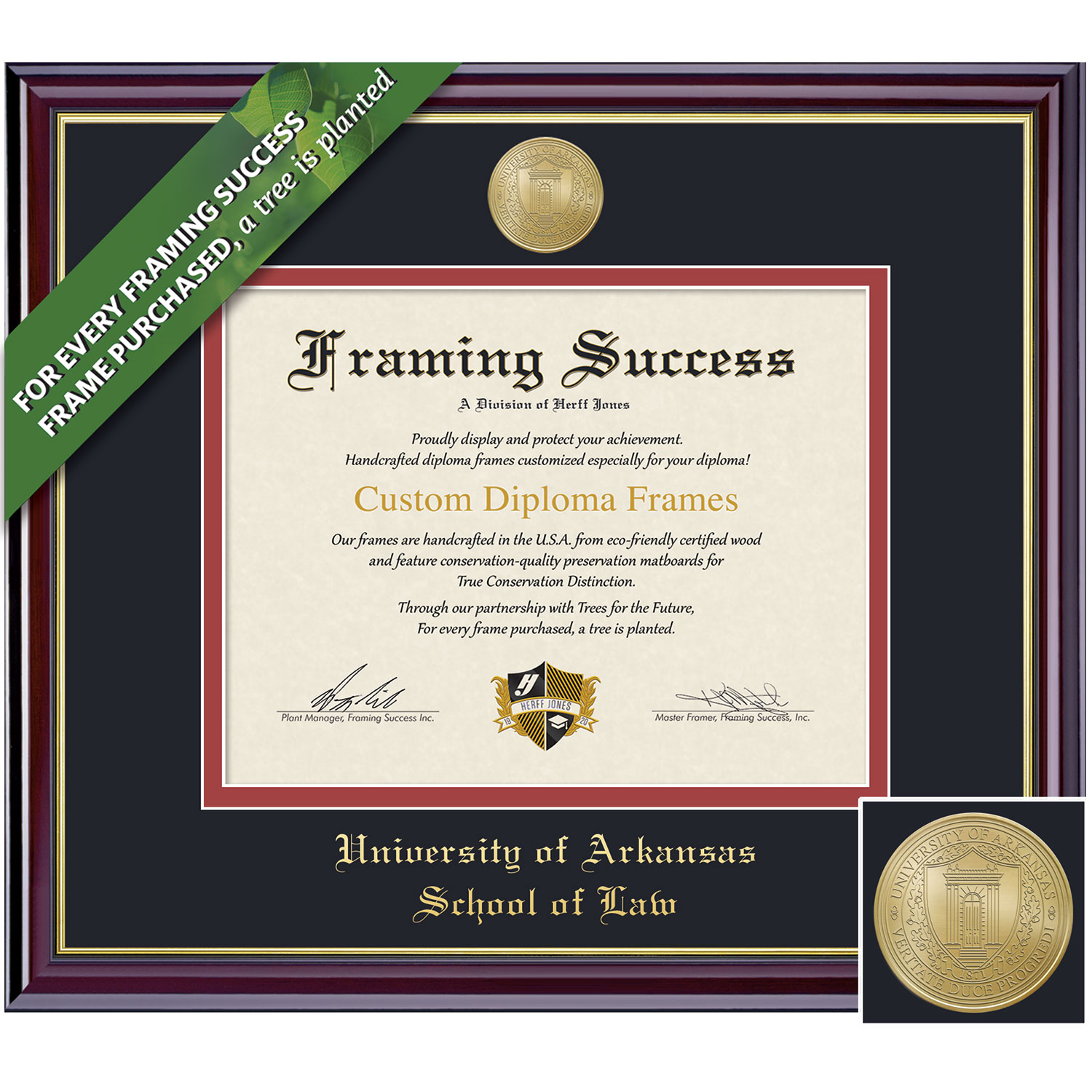 Framing Success 11 x 14 Windsor Gold Medallion Law Diploma Frame