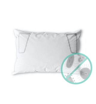 Spry Pure Filtered Poly fill Queen Pillow