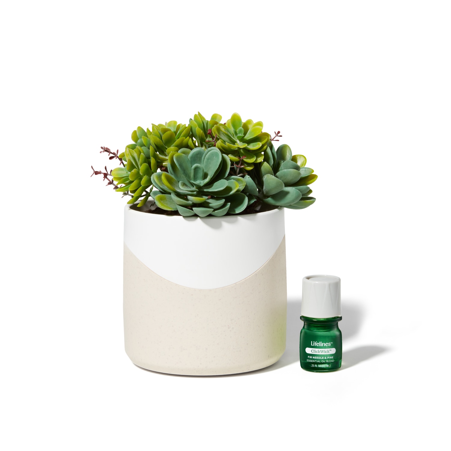 Lifelines Planter Diffuser  -  Succulent - Two Toned