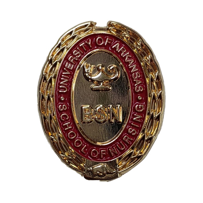 Univ Arkansas Gold Nurse Pin