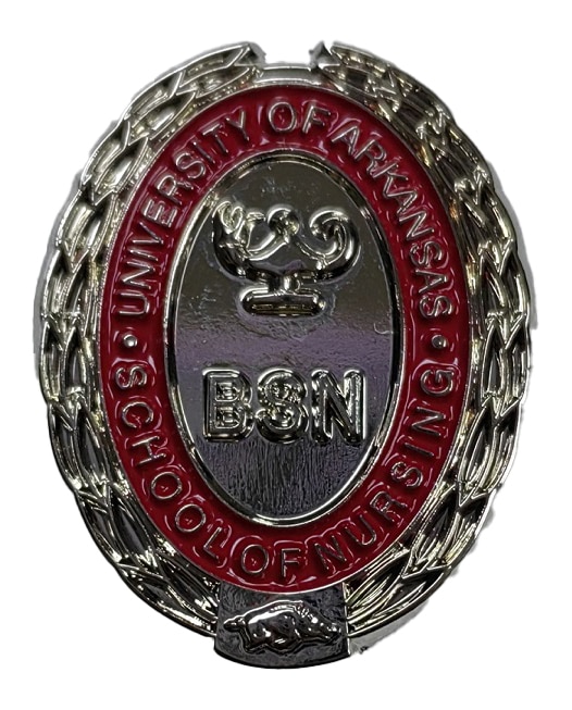 Univ Arkansas Silver Nurse Pin