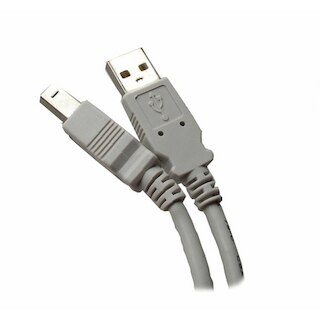 Professional Cable10 Foot USB Type A to USB Type B Compliance Cable