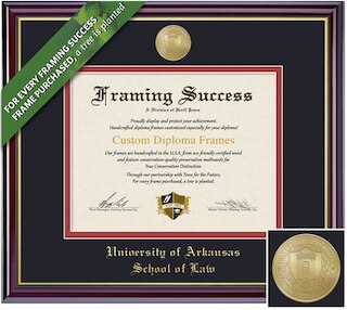 Framing Success 14 x 17 Windsor Gold Medallion Law Diploma Frame