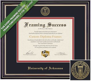 Framing Success 8.5 x 11 Prestige Gold Embossed School Seal Bachelors, Masters Diploma Frame