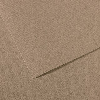 Canson Mi-Teintes Paper Sheet, Steel Gray