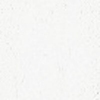 Gamblin Artist Grade Oil Color, 37ml, Flake White Replacement