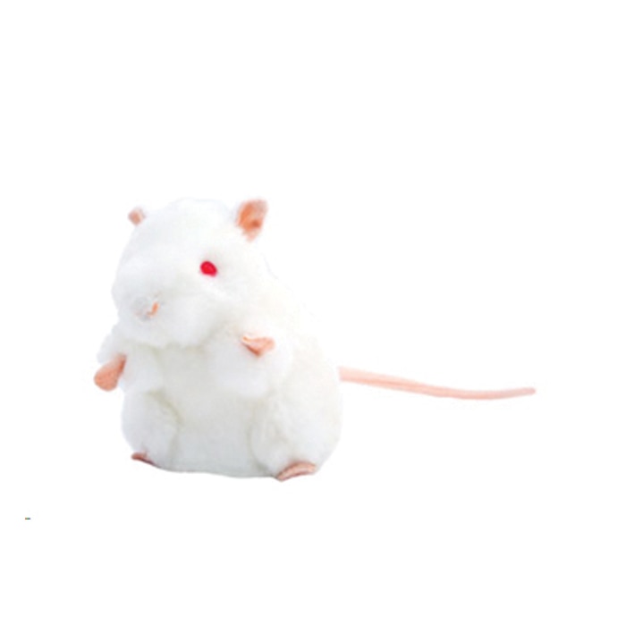 White Lab Mouse