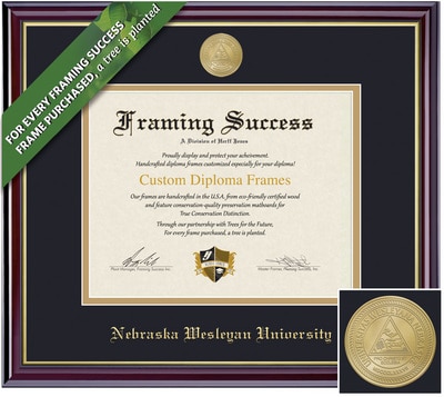 Framing Success 8.5 x 11 Windsor Gold Medallion Bachelors, Master  Diploma Frame