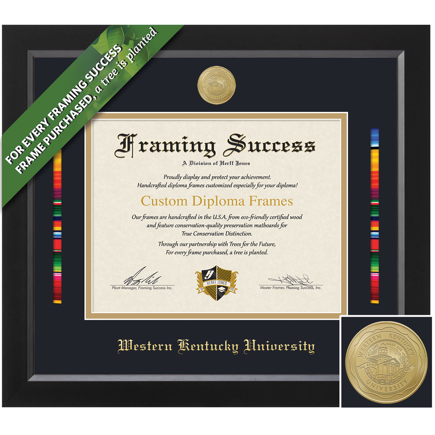 Framing Success 8.5 x 11 Spirit Gold Medallion Bachelors Masters Diploma/Serape Ribbon Frame