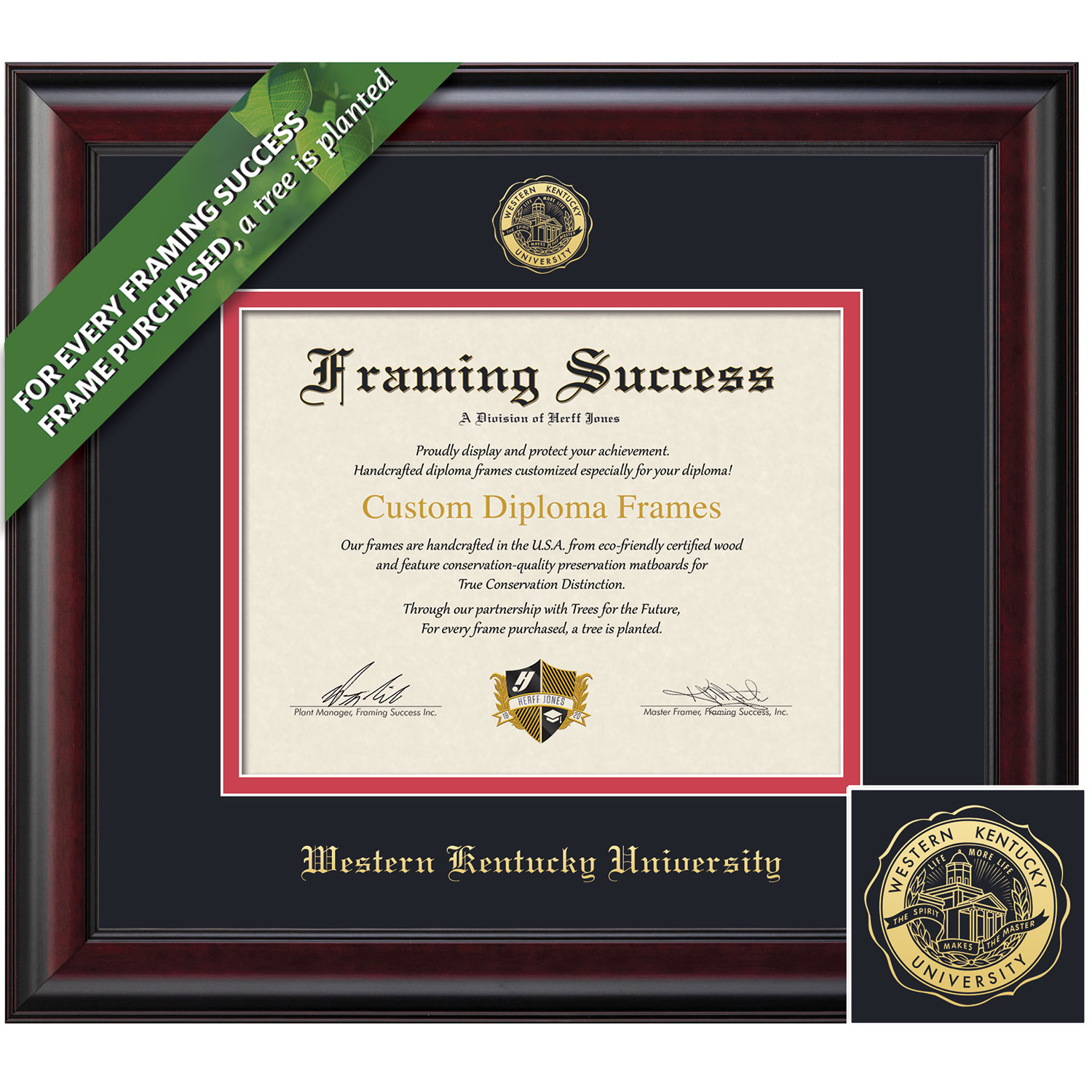 Framing Success 8.5 x 11 Classic Gold Embossed School Seal Bachelors Masters Diploma Frame