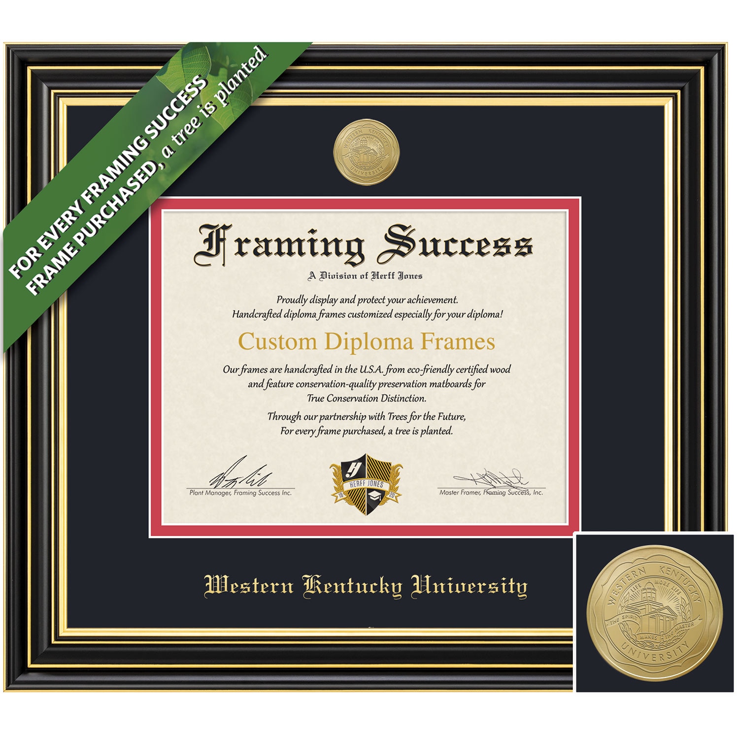 Framing Success 8.5 x 11 Prestige Gold Embossed School Seal Bachelors Masters Diploma Frame