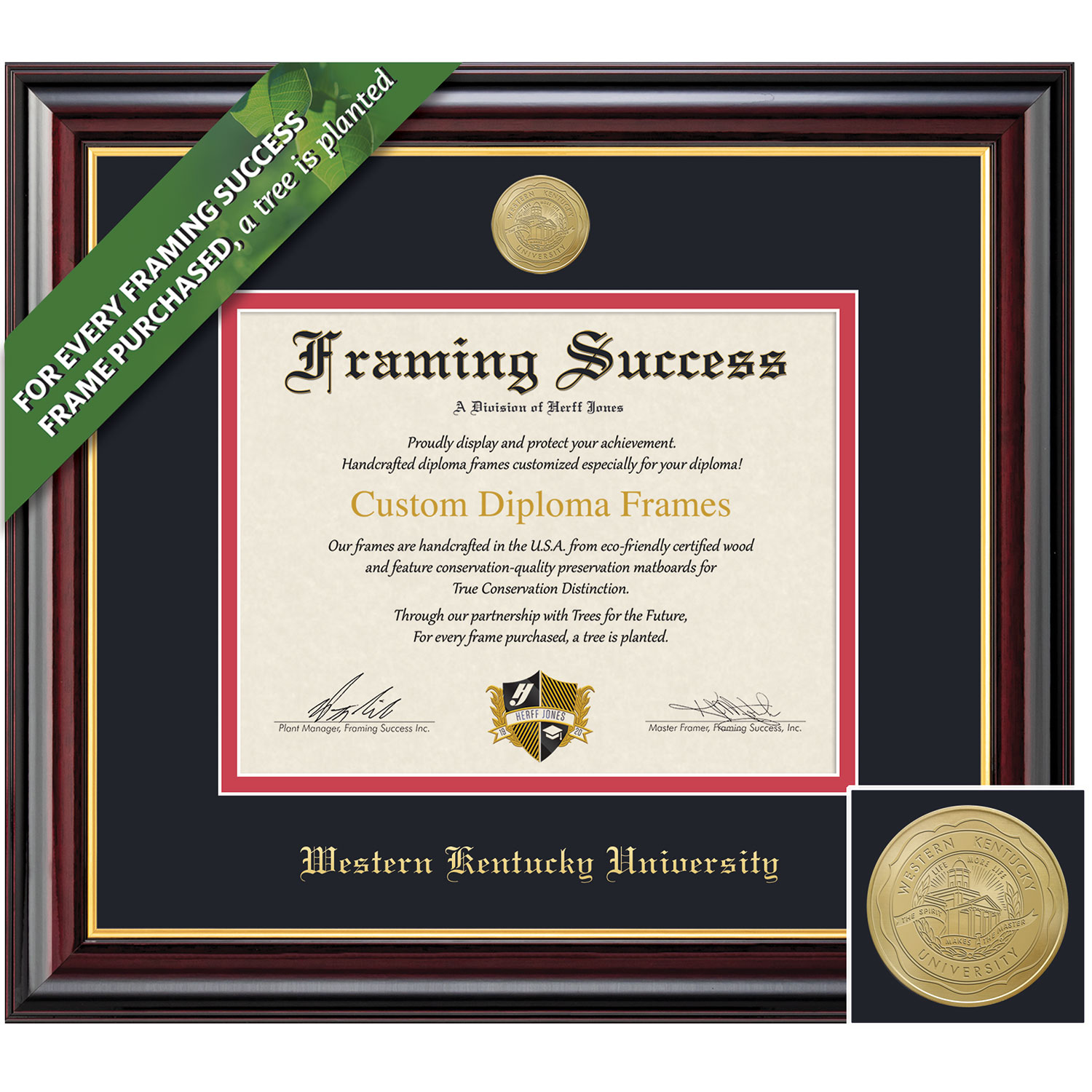 Framing Success 8.5 x 11 Windsor Gold Medallion Bachelors Masters Diploma Frame