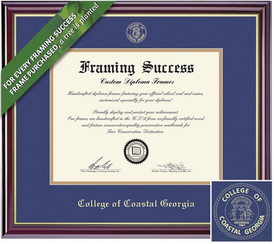 Framing Success Windsor Diploma Frame. Bachelors.Masters