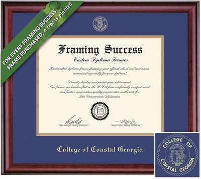 Framing Success Classic Diploma Frame. Bachelors.Masters