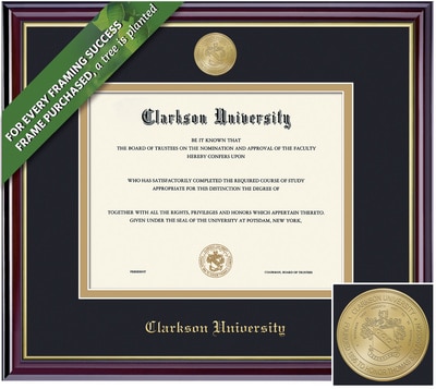 Framing Success 8.5 x 11 Windsor Gold Medallion Bachelors, Masters, PhD  Diploma Frame