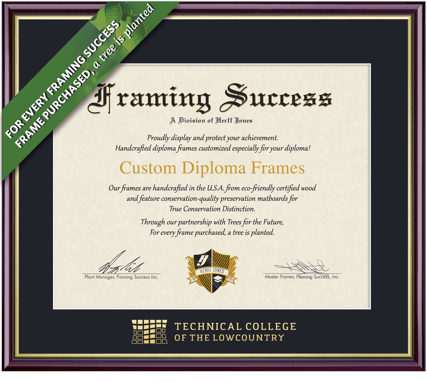 Framing Success 8 x 10 Academic Gold Embossed School Name Associates Diploma Frame