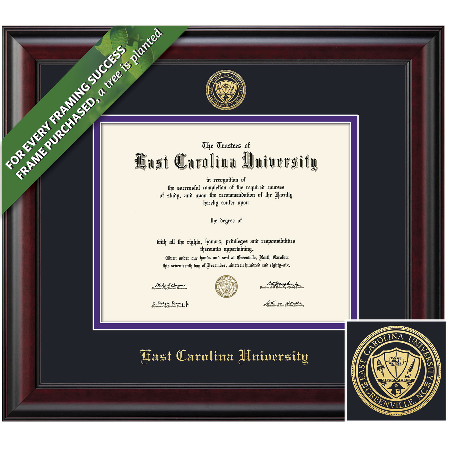 Framing Success 11 x 14 Classic Gold Embossed School Seal Bachelors, Masters, PhD Diploma Frame