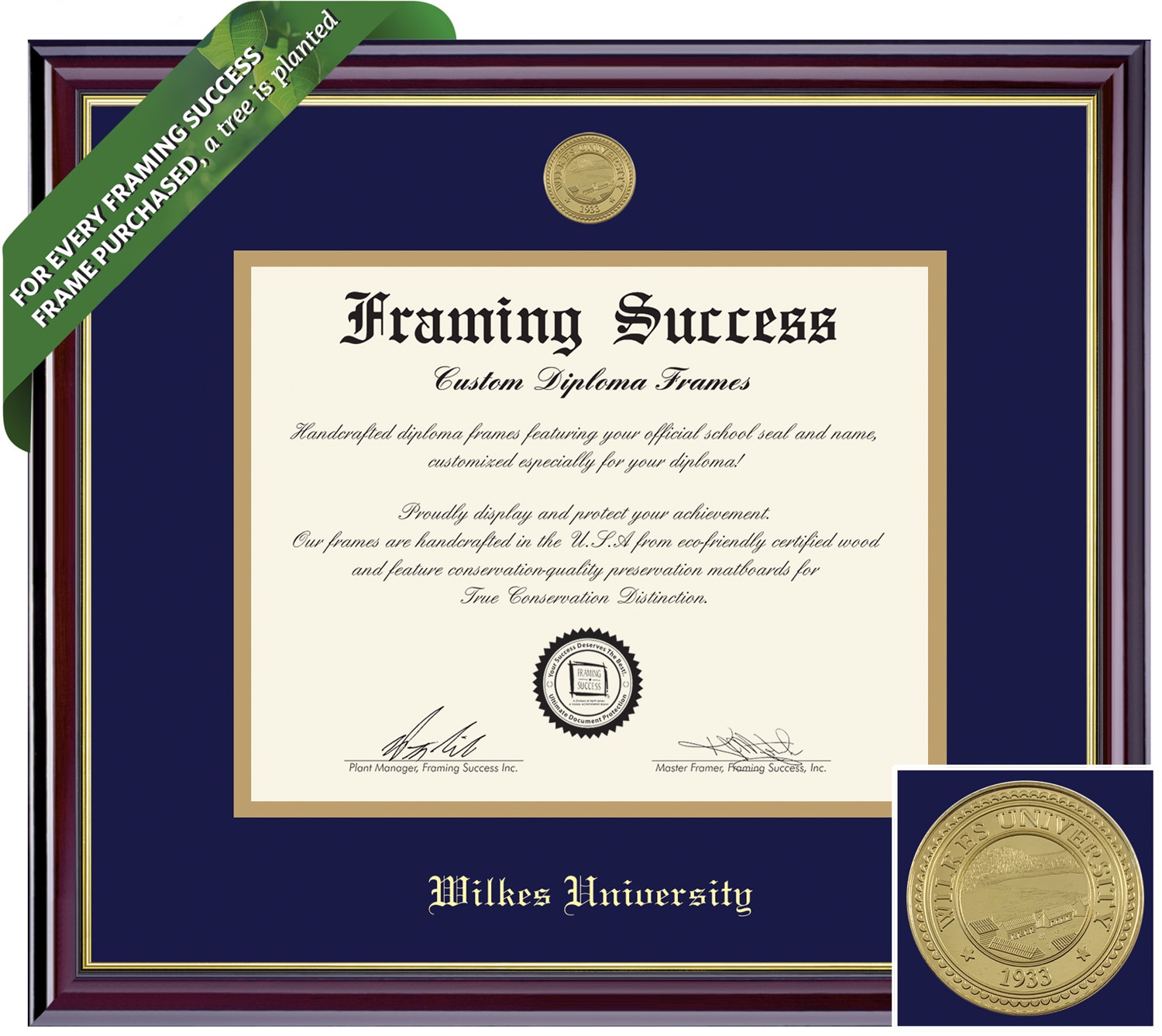 Framing Success 11 x 14 Windsor Gold Medallion Bachelors, Masters, Doctorate Diploma Frame