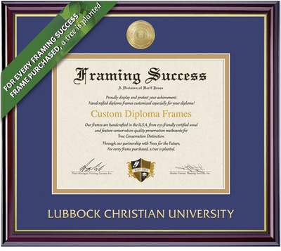 Framing Success 11 x 14 Windsor Gold Medallion Masters Diploma Frame
