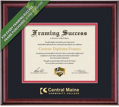 Framing Success 8 x 10 Classic Gold Embossed School Name Associates Diploma Frame