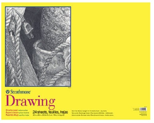 Strathmore Drawing Paper Pad, 300 Series, 25 Sheets, 18" x 24", Spiral Bound