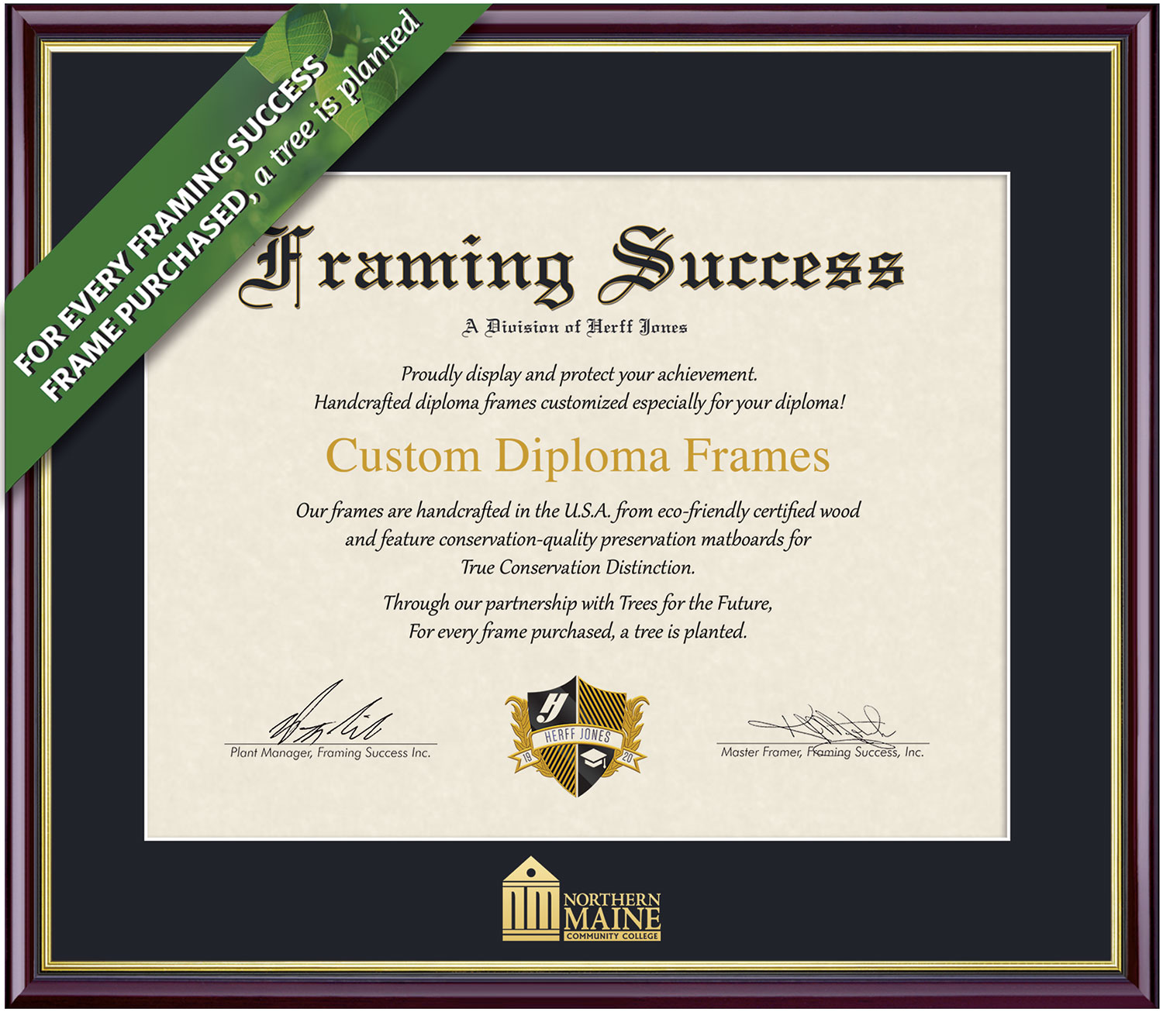 Framing Success 8.5 x 11 Academic Gold Embossed School Name Associates Diploma Frame