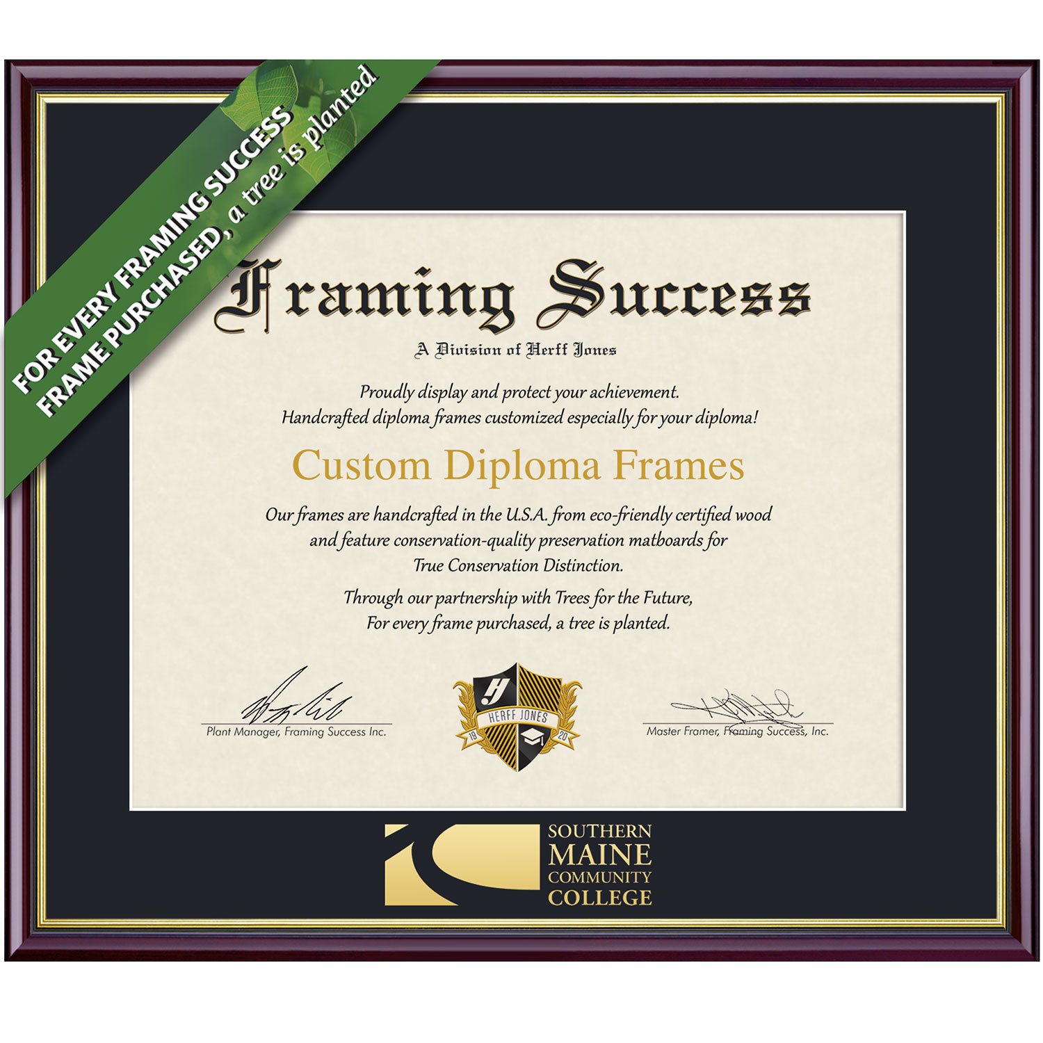 Framing Success 7 x 9 Academic Gold Embossed School Name Associates Diploma Frame