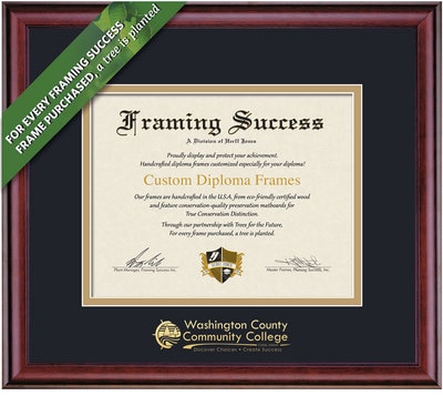 Framing Success 6 x 8 Classic Gold Embossed School Name Associates Diploma Frame