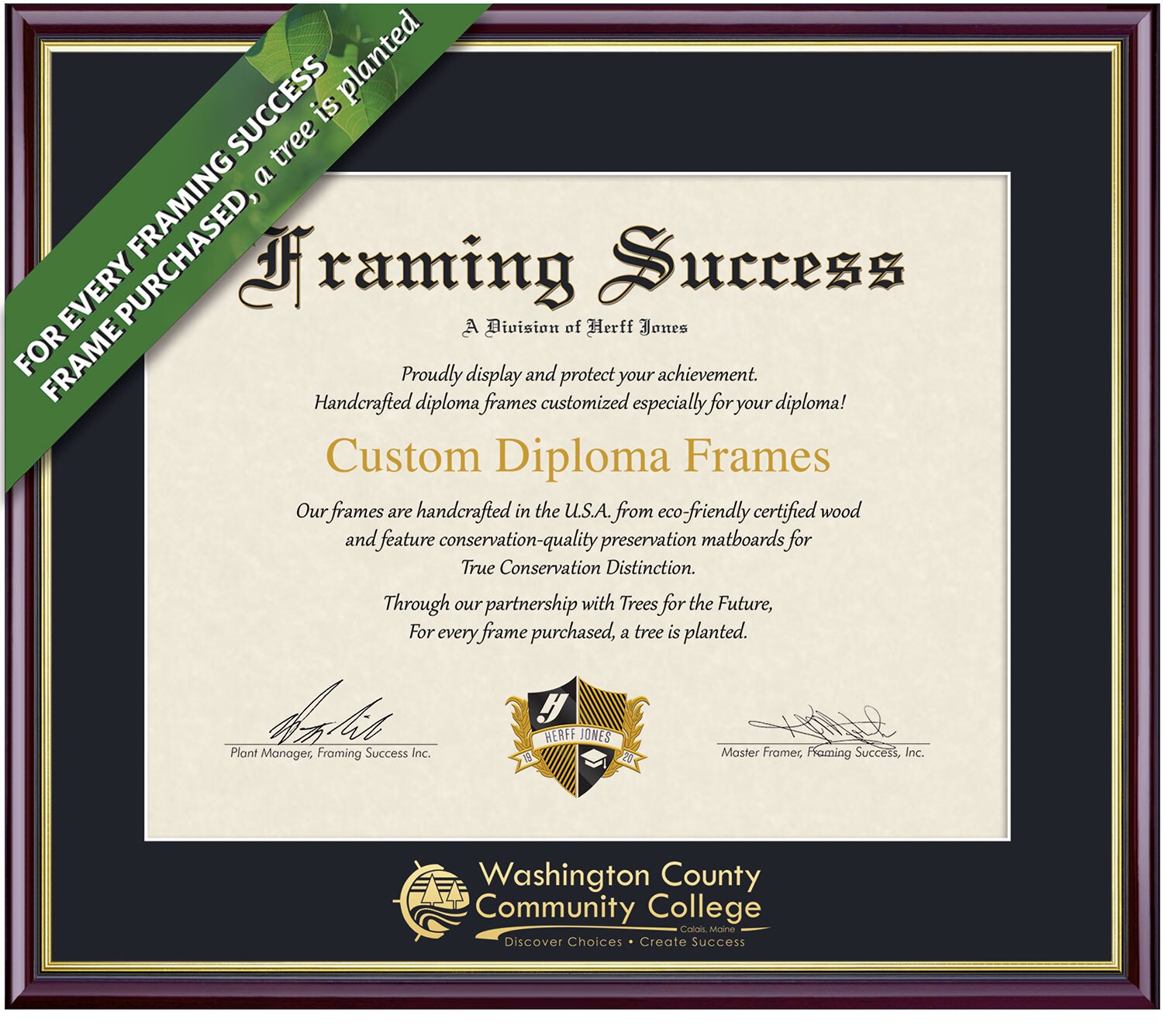Framing Success 6 x 8 Academic Gold Embossed School Name Associates Diploma Frame