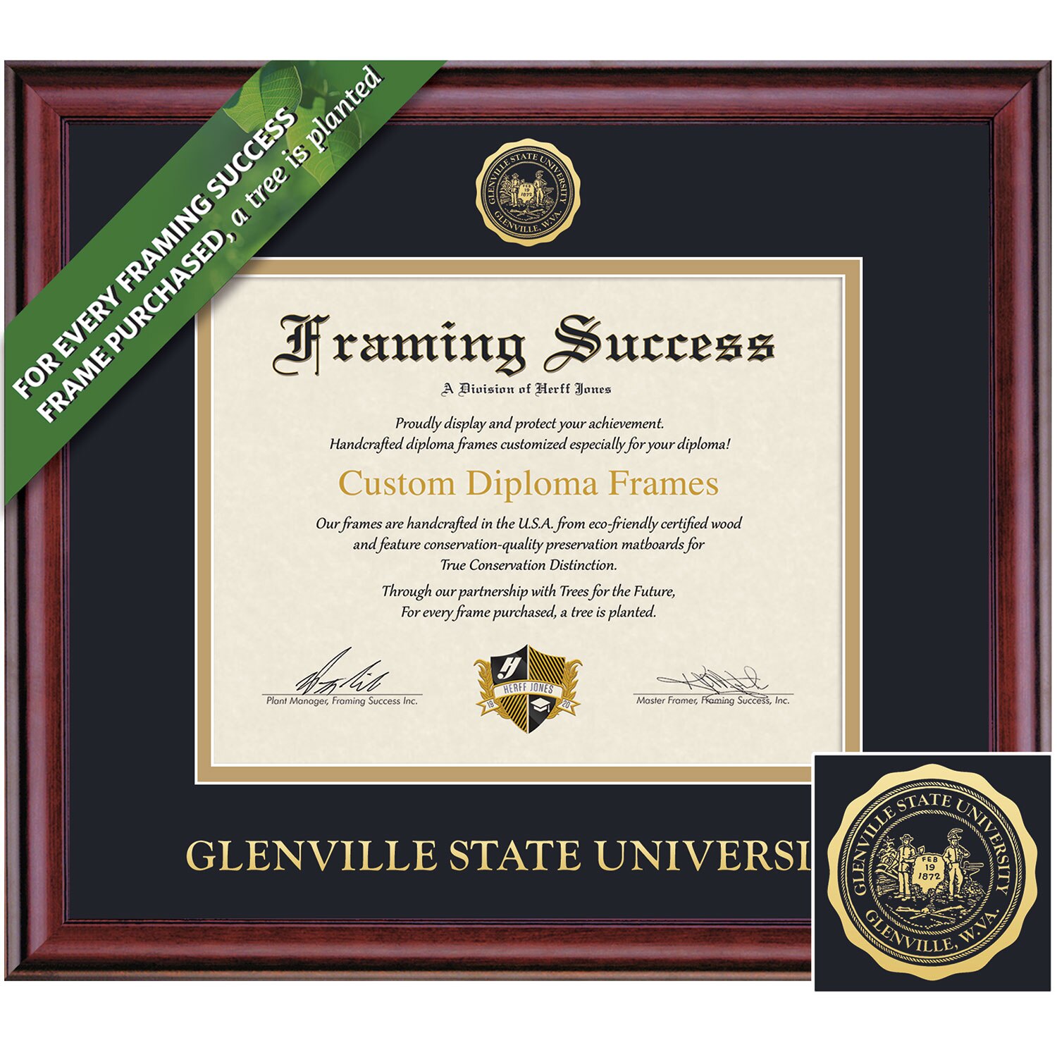 Framing Success 8.5 x 11 Classic Gold Embossed School Seal Associates Diploma Frame