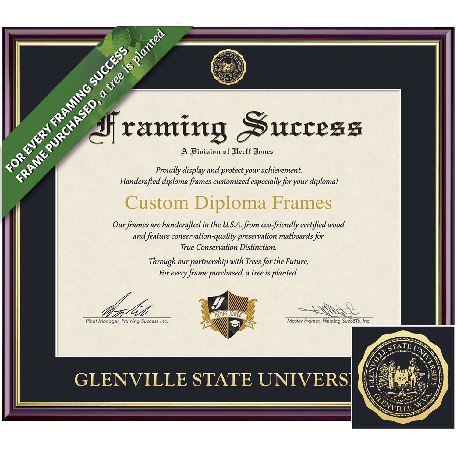 Framing Success 8.5 x 11 Academic Gold Embossed School Seal Associates Diploma Frame