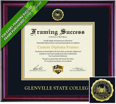 Framing Success 8.5 x 11 Classic Gold Embossed School Seal Associates Diploma Frame