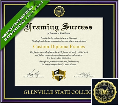 Framing Success 8.5 x 11 Academic Gold Embossed School Seal Associates Diploma Frame