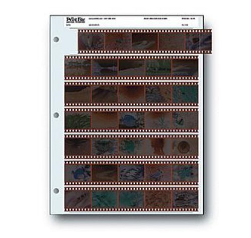 Printfile 35-7B 7x5 Neg Preservers 25 pk