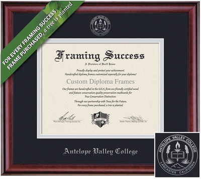 Framing Success 8.5 x 11 Classic Silver Embossed School Seal Associates Diploma Frame