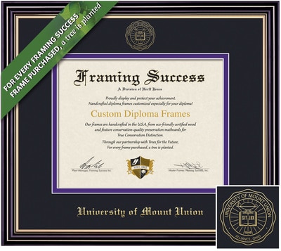 Framing Success 8 x 10 Prestige Gold Embossed School Seal Bachelors, Masters Diploma Frame
