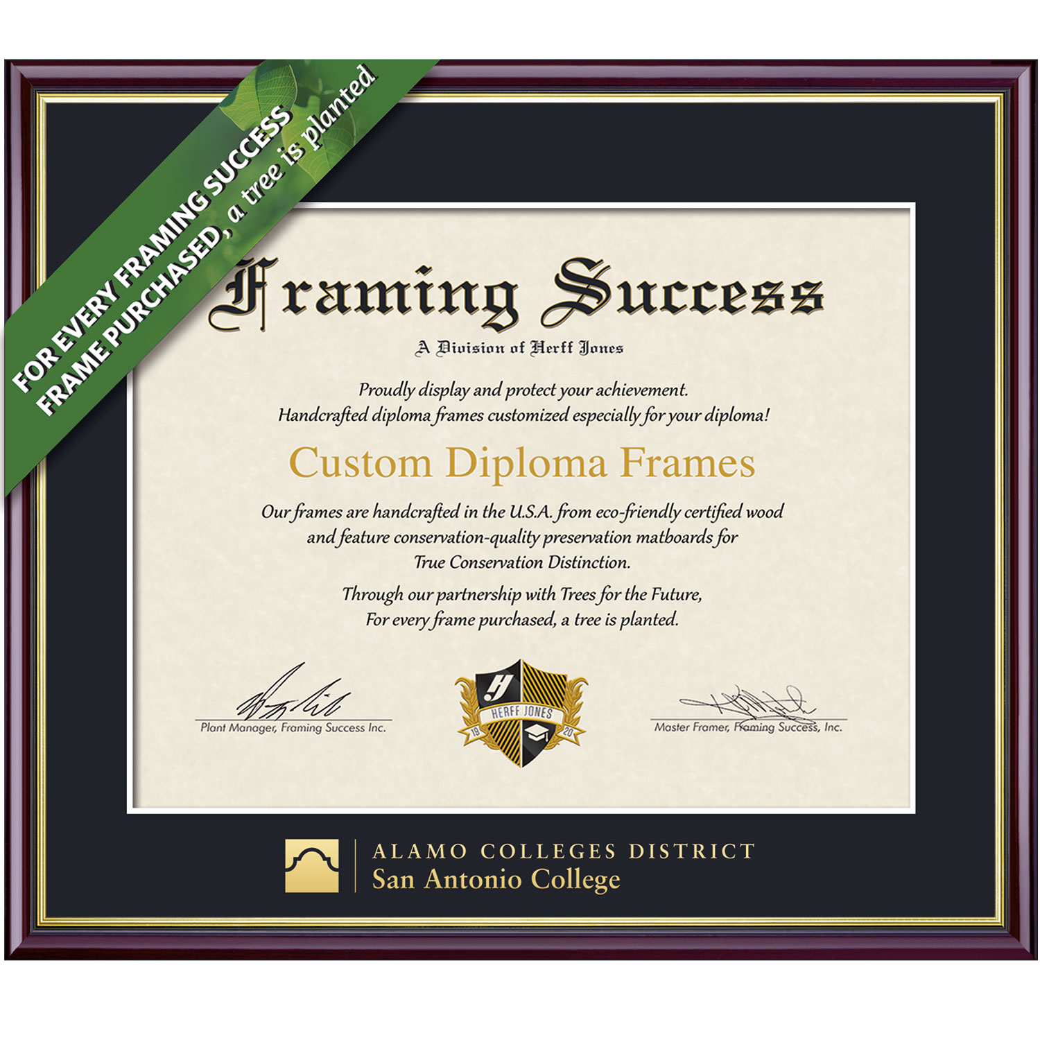 Framing Success 7 x 9 Academic Gold Embossed School Name Associates Diploma Frame