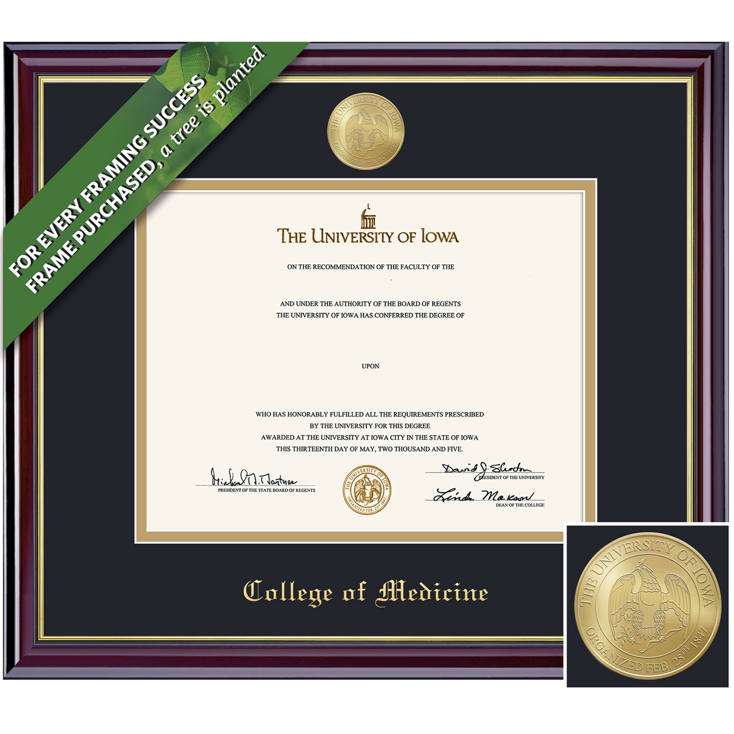 Framing Success 8.5 x 11 Windsor Gold Medallion Medical Diploma Frame