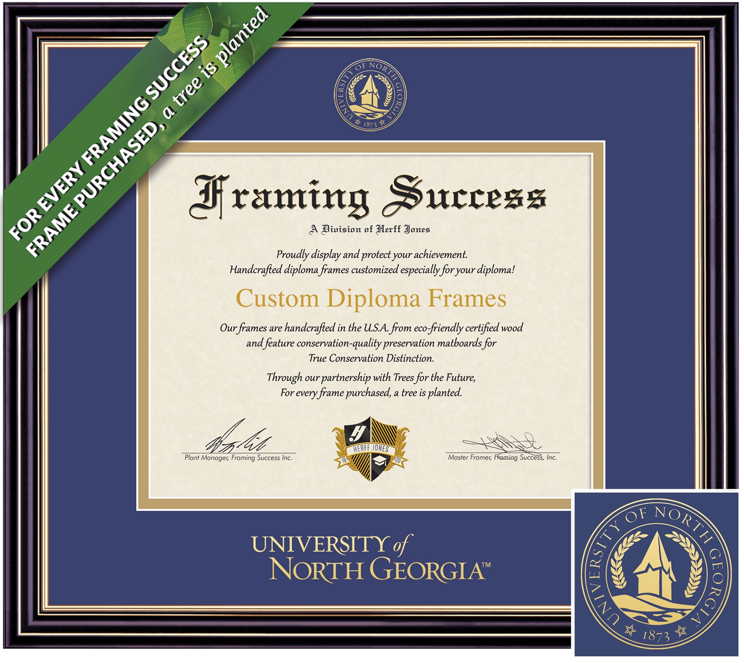 Framing Success 11 x 14 Prestige Gold Embossed School Seal Bachelors, Masters, PhD Diploma Frame
