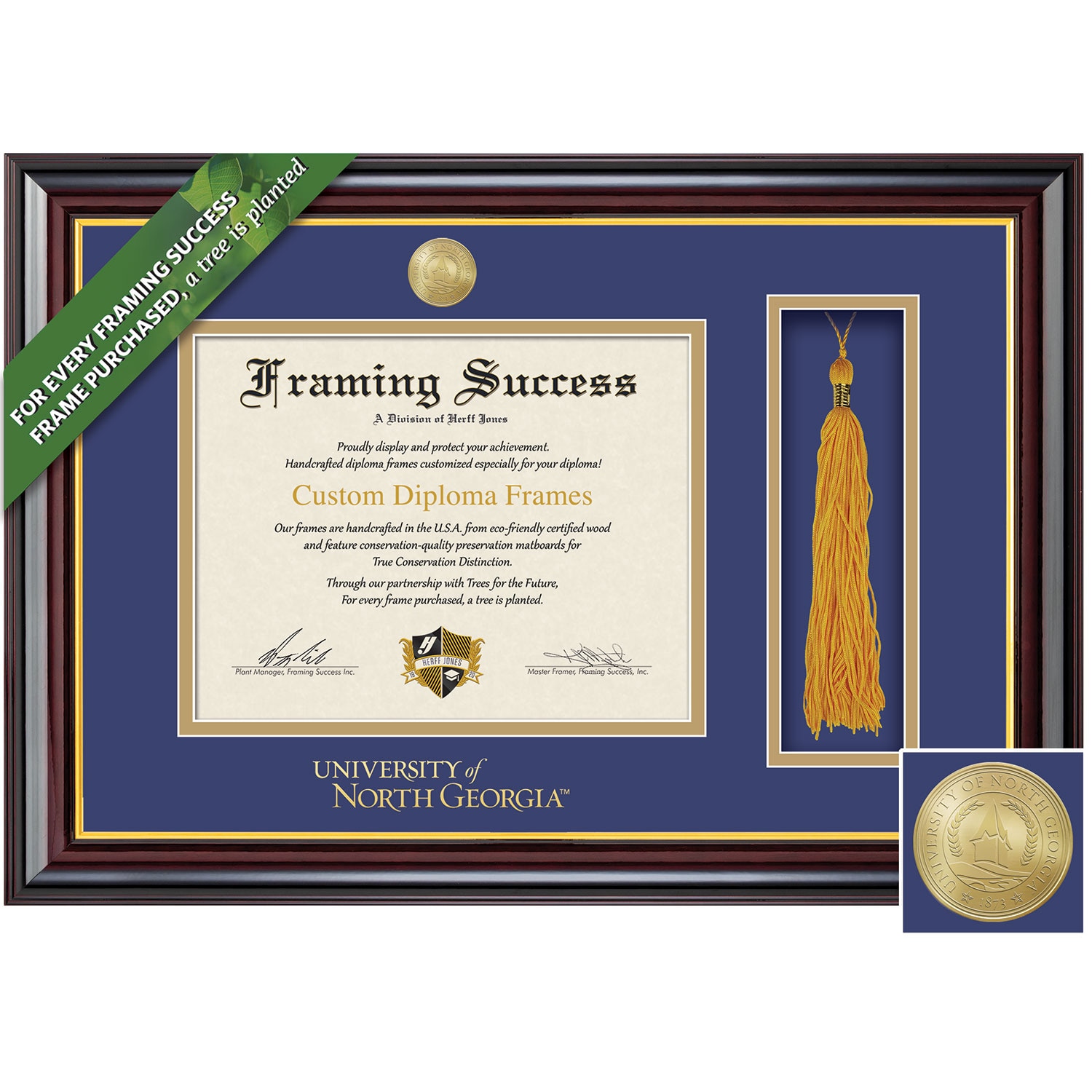 Framing Success 11 x 14 Windsor Gold Medallion Bachelors, Masters, Doctorate Diploma/Tassel Frame