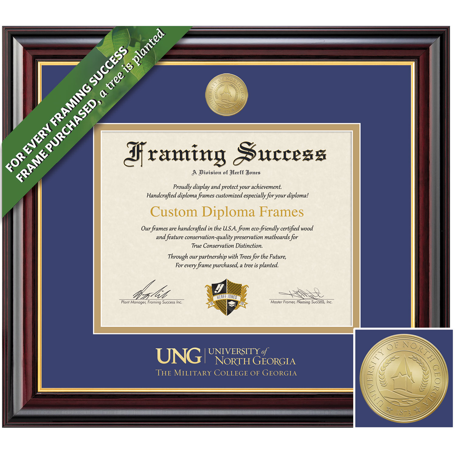 Framing Success 11 x 14 Windsor Gold Medallion Bachelors Masters Doctorate Diploma Frame