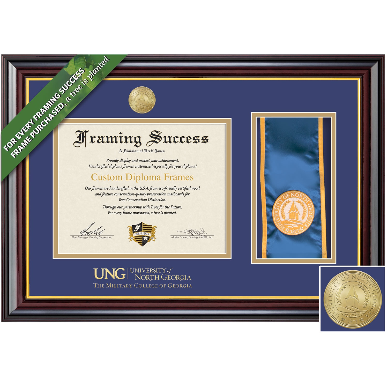 Framing Success 11 x 14 Windsor Gold Medallion Bachelors Masters Doctorate Diploma/Tassel Frame