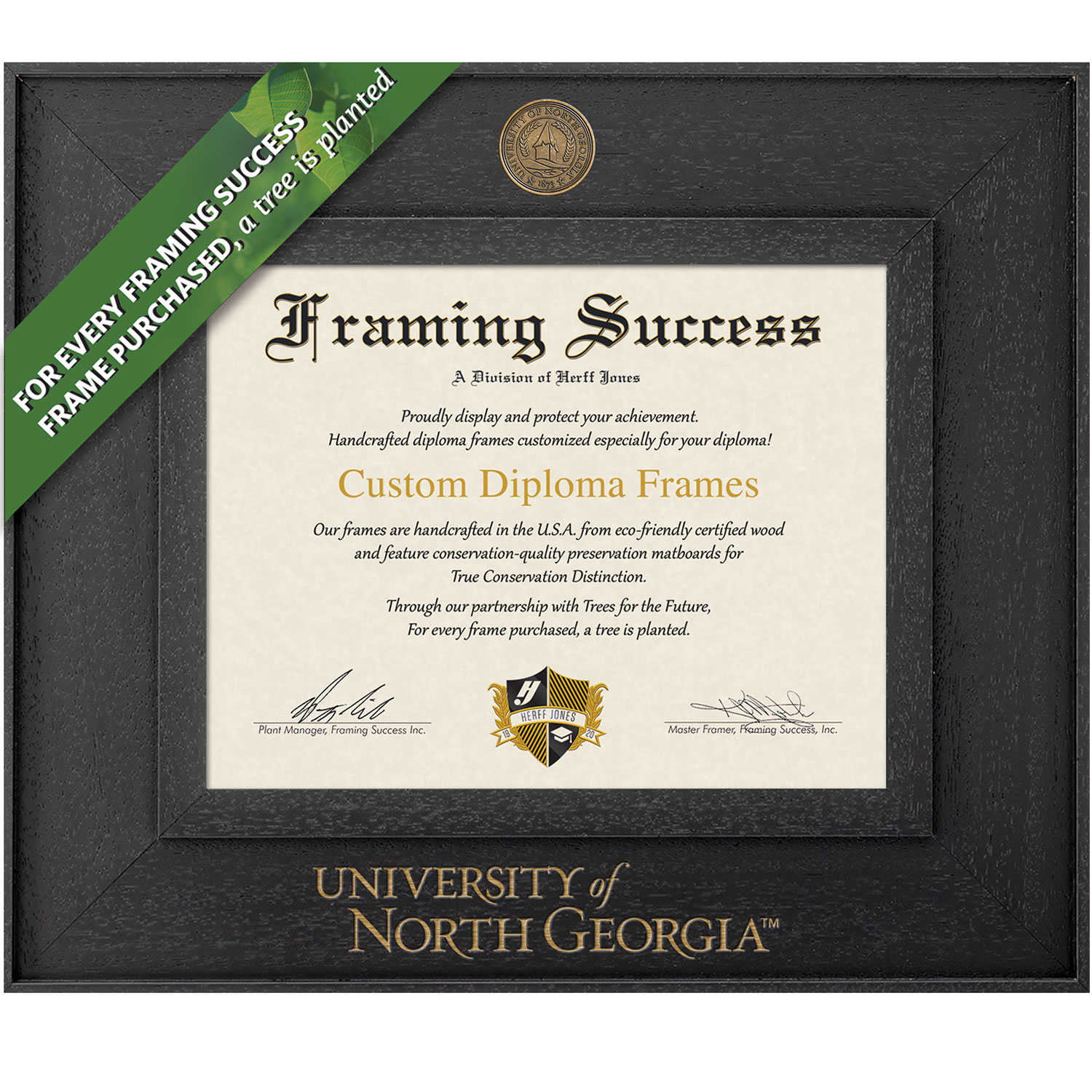 Framing Success 11 x 14 Cavalier Antiqued Medallion Bachelors, Masters, Doctorate Diploma Frame