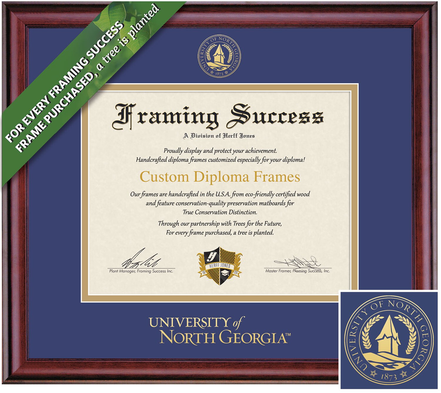 Framing Success 11 x 14 Classic Gold Embossed School Seal Bachelors Masters PhD Diploma Frame