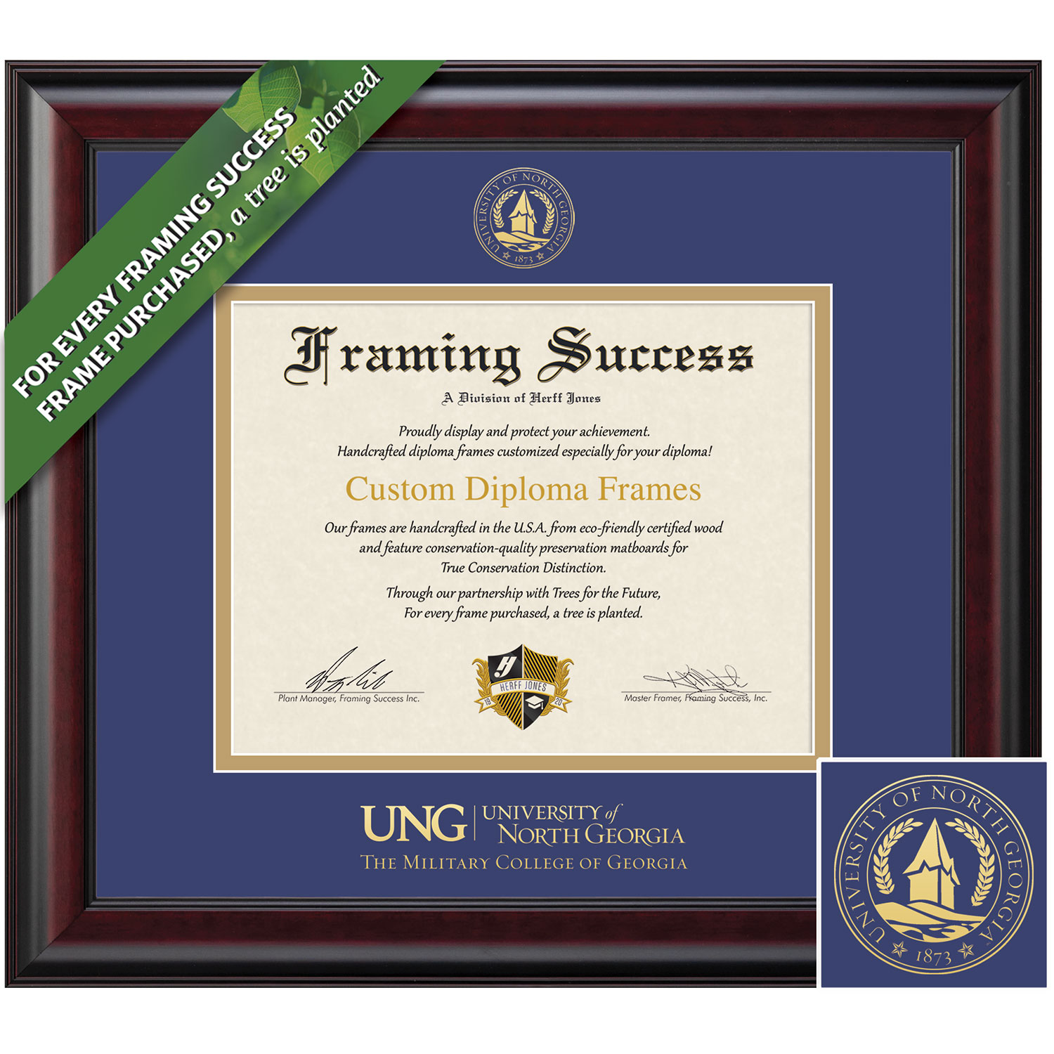 Framing Success 11 x 14 Classic Gold Embossed School Seal Bachelors Masters Doctorate Diploma Frame