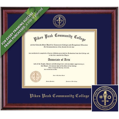Framing Success 8.5 x 11 Classic Gold Embossed School Seal Associates Diploma Frame