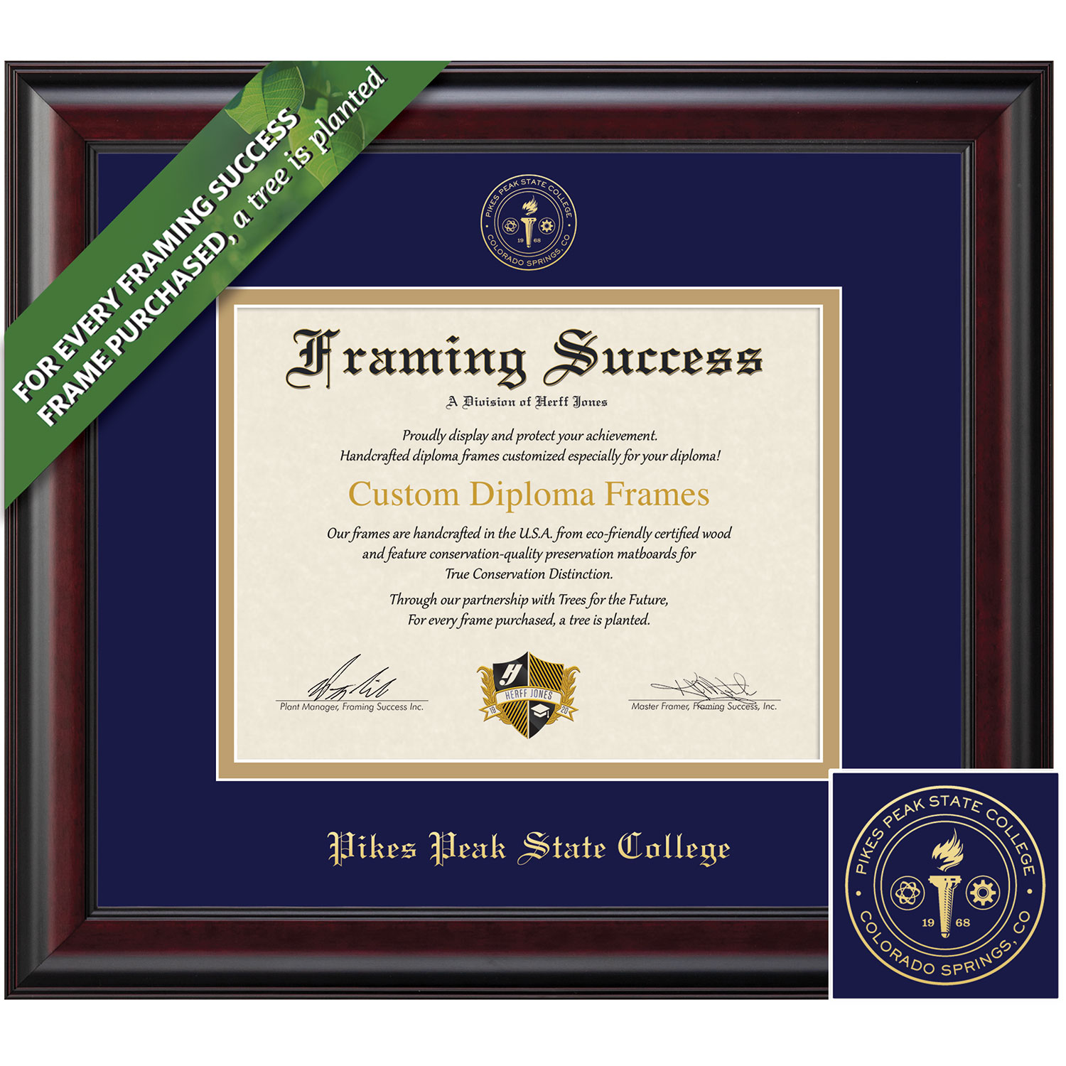 Framing Success 8.5 x 11 Classic Gold Embossed School Seal Associates Diploma Frame